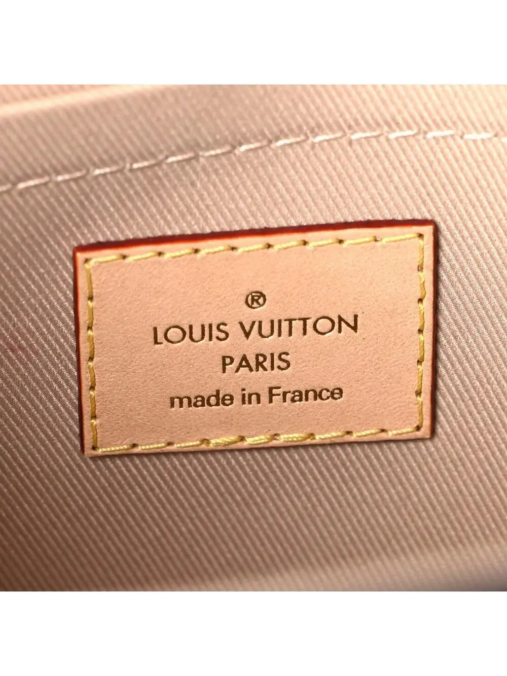 Louis Vuitton Mini Cluny #335176L19B
